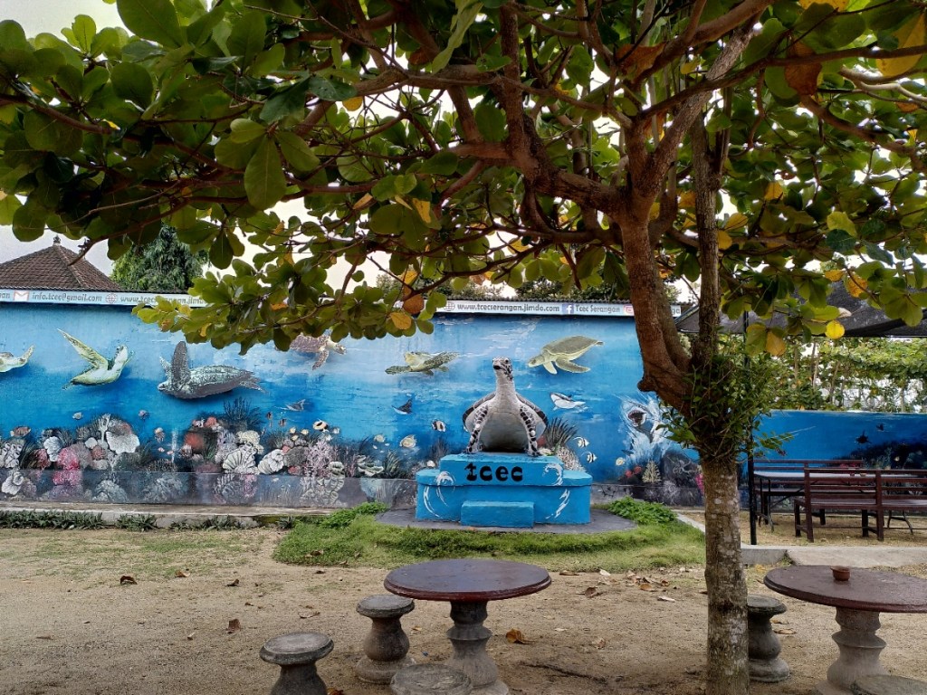 Ich bin Schildkröten-Mama.