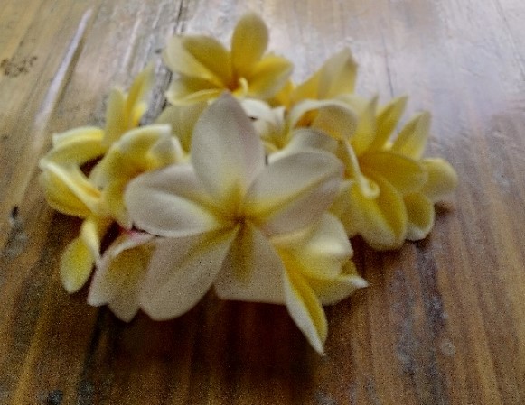 Auf der Zielgeraden.